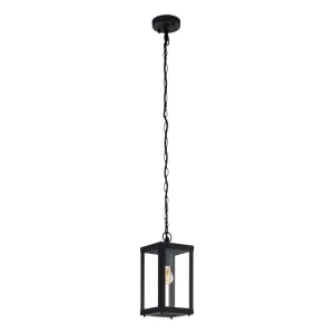 Alamonte 1 One Light Outdoor Black and Glass Modern Pendant