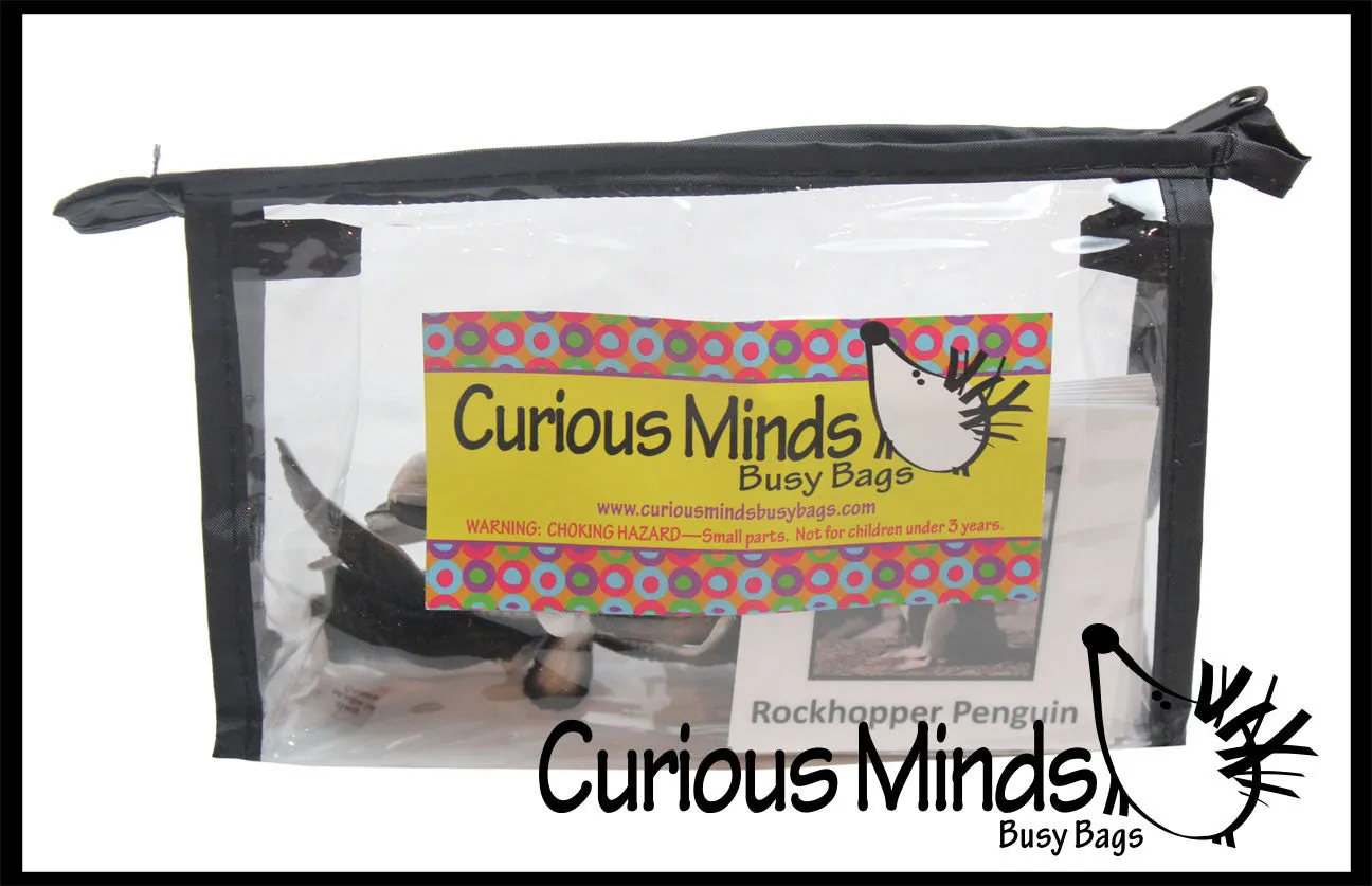 Animal Match - ANTARCTICA - Miniature Animals with Matching Cards - 2 Part Cards.  Montessori learning toy, language materials - Antarctic Animals