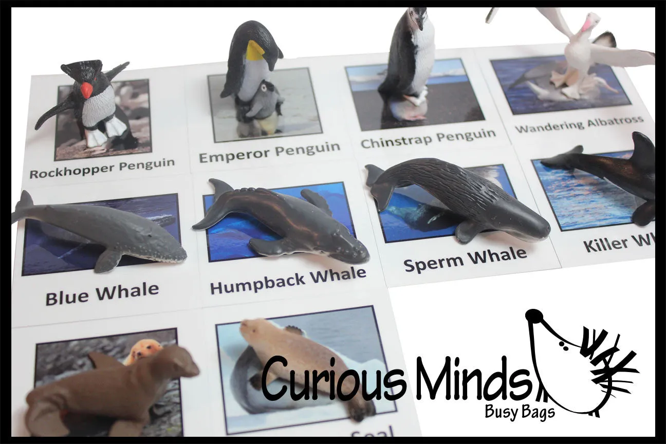 Animal Match - ANTARCTICA - Miniature Animals with Matching Cards - 2 Part Cards.  Montessori learning toy, language materials - Antarctic Animals