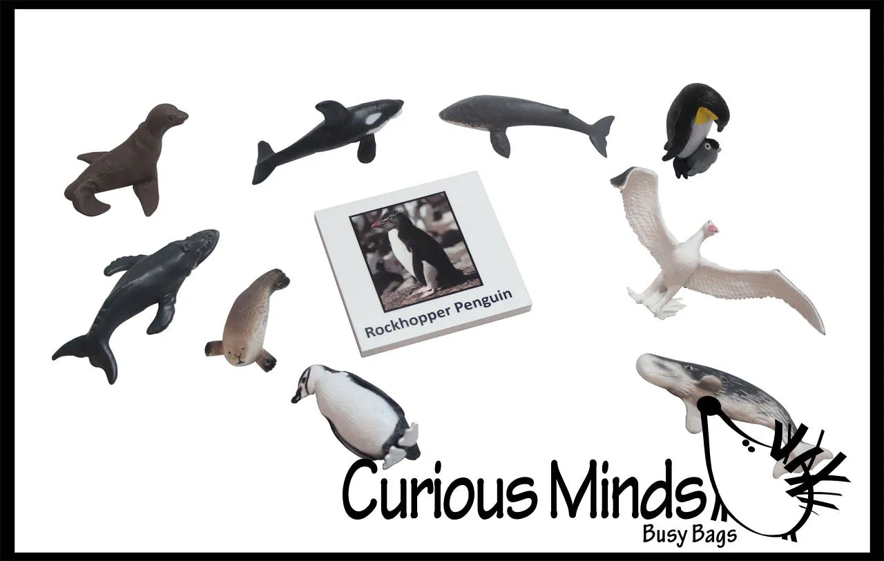 Animal Match - ANTARCTICA - Miniature Animals with Matching Cards - 2 Part Cards.  Montessori learning toy, language materials - Antarctic Animals