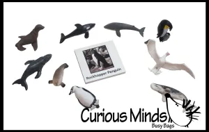Animal Match - ANTARCTICA - Miniature Animals with Matching Cards - 2 Part Cards.  Montessori learning toy, language materials - Antarctic Animals