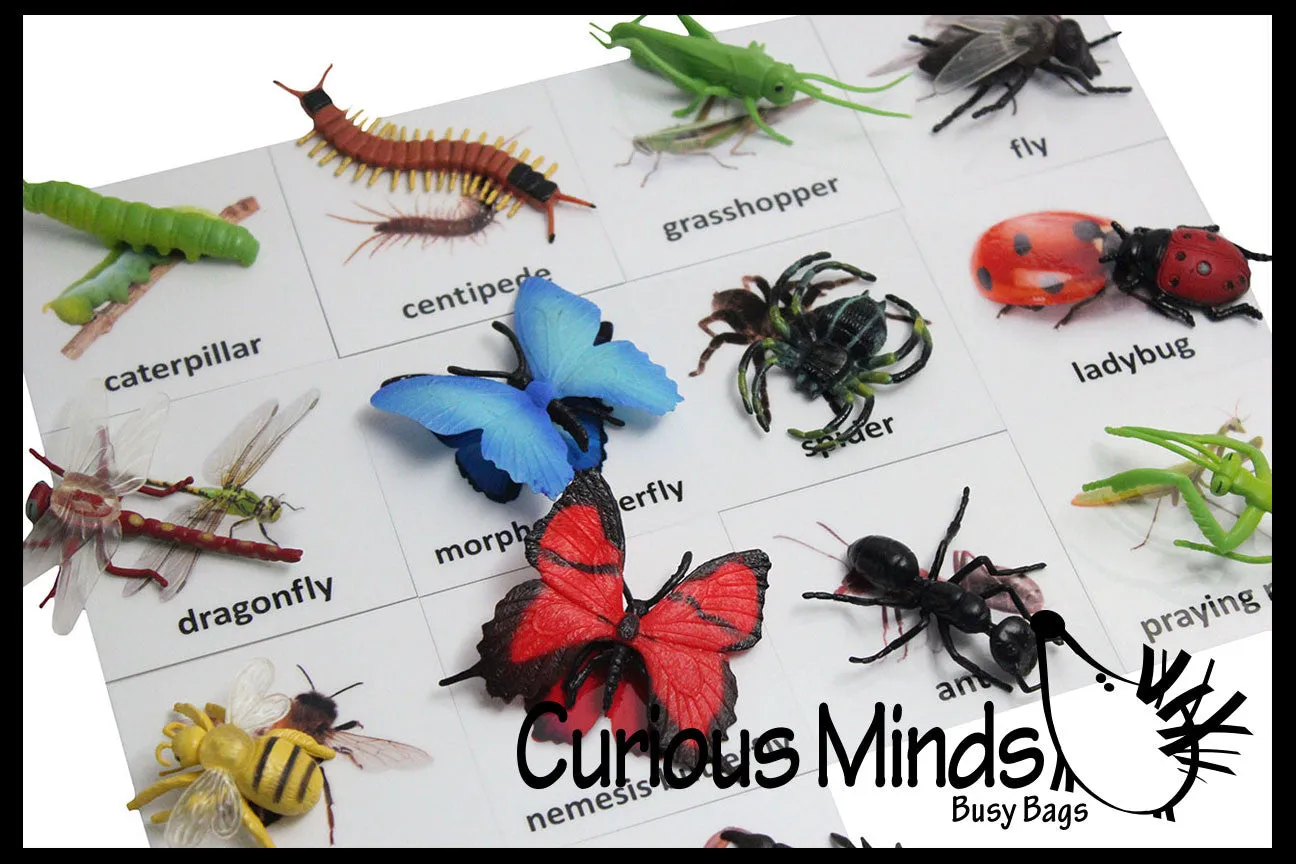 Animal Match - INSECTS & BUGS - Miniature Animals with Matching Cards - 2 Part Cards.  Montessori learning toy, language materials - Insects & Bugs