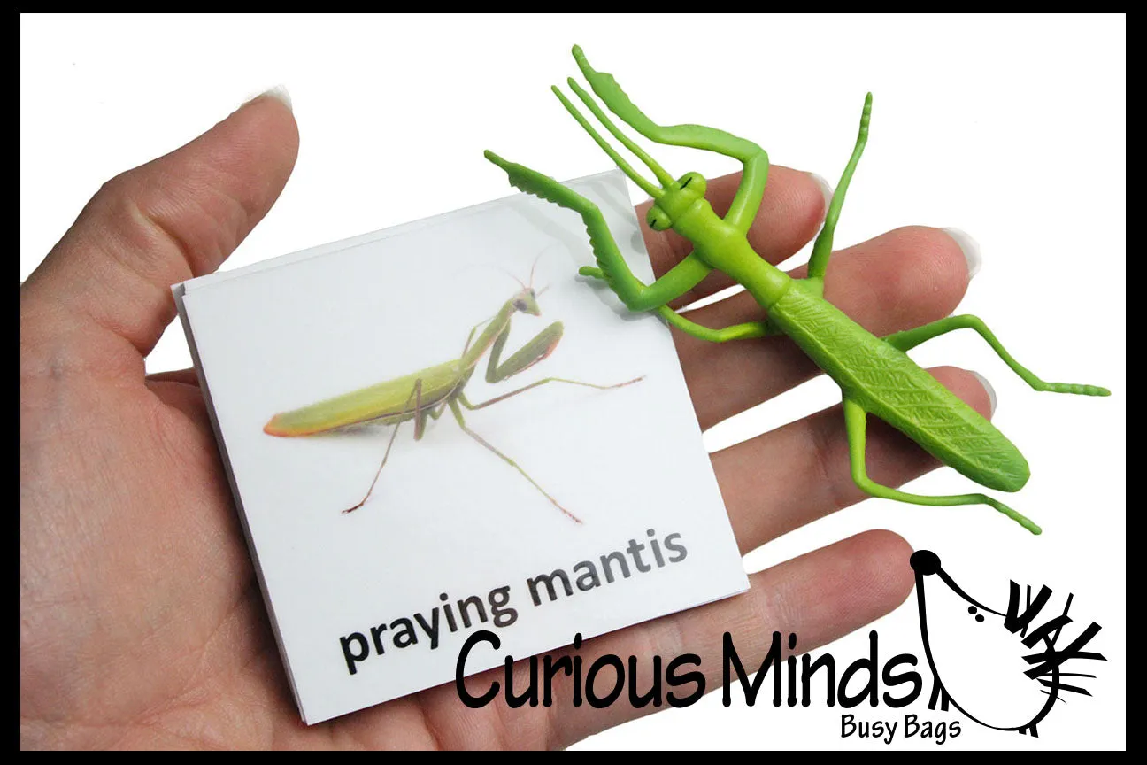 Animal Match - INSECTS & BUGS - Miniature Animals with Matching Cards - 2 Part Cards.  Montessori learning toy, language materials - Insects & Bugs