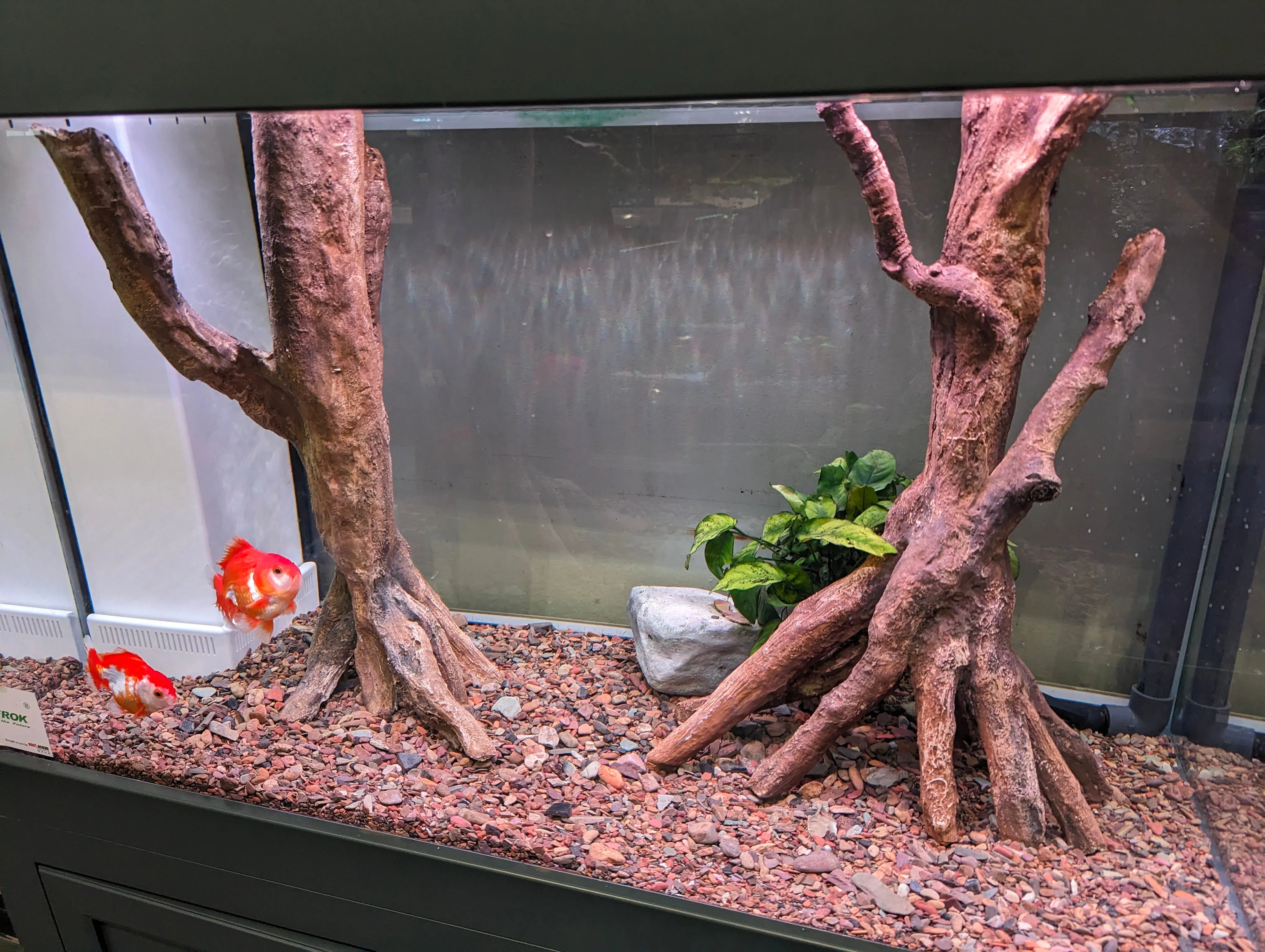 AquaDecor Amazonia Roots (per pcs)