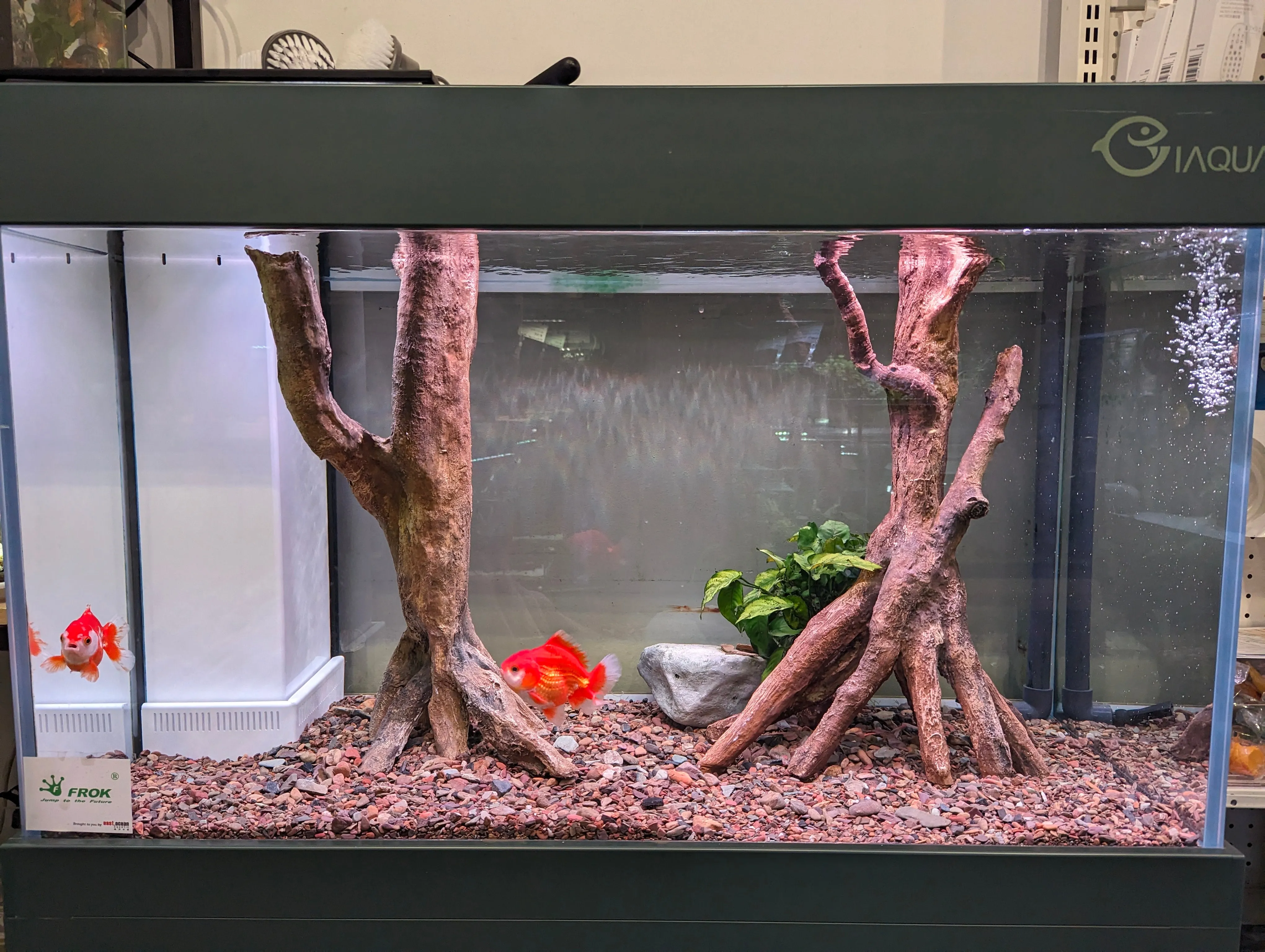 AquaDecor Amazonia Roots (per pcs)