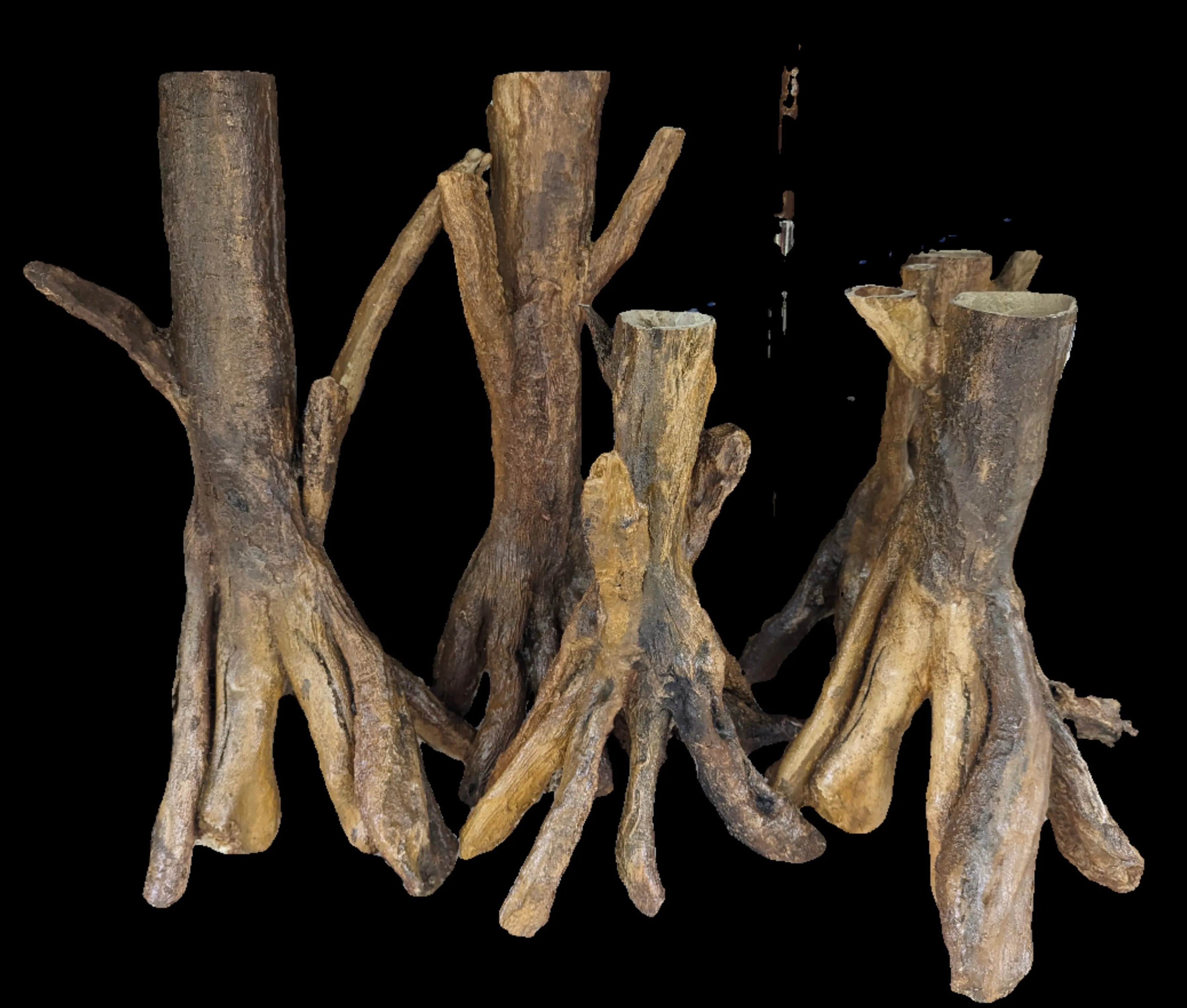 AquaDecor Amazonia Roots (per pcs)