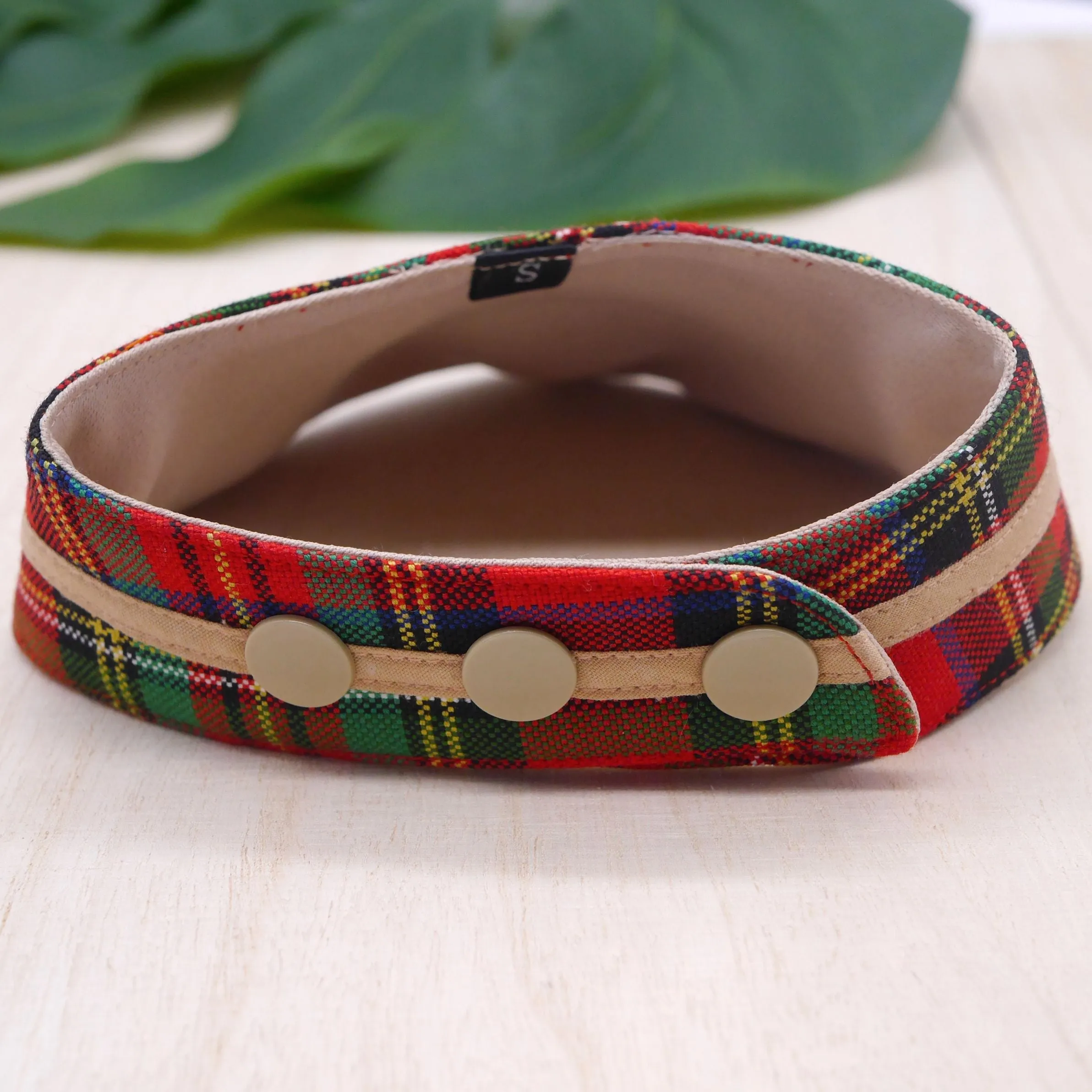 Bandanas - Royal Tartan Print with Brown Band