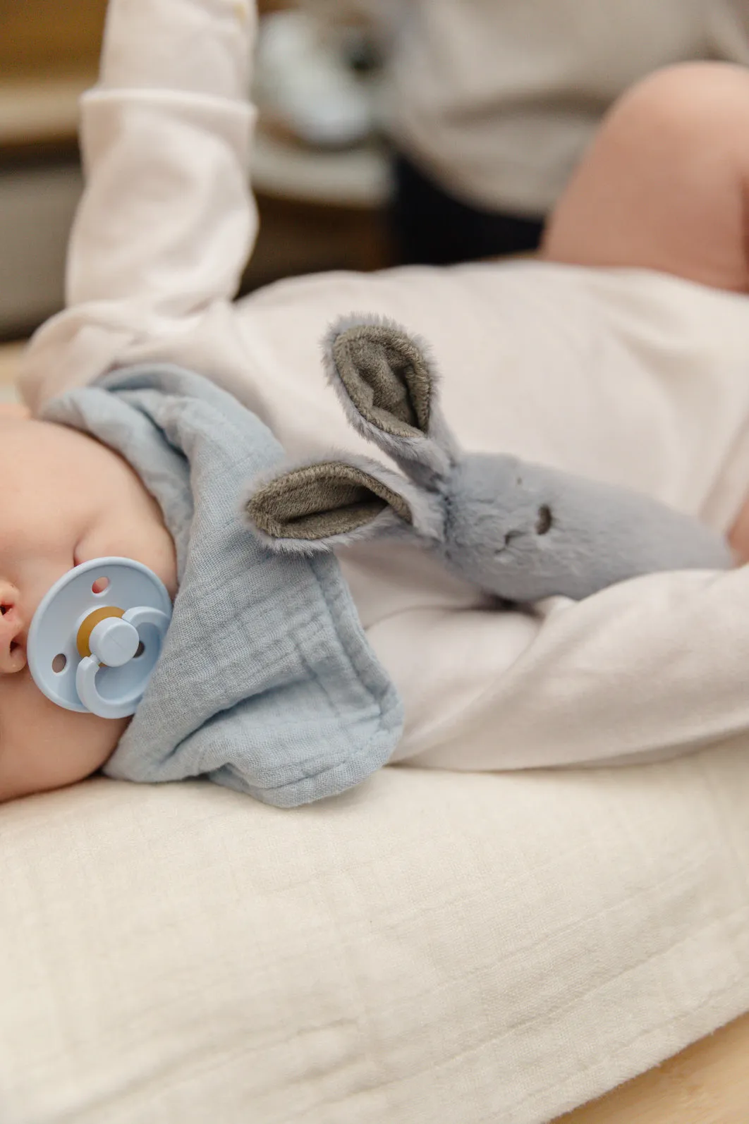 BIBS Pacifier ANATOMICAL Duo - Baby Blue   Petrol