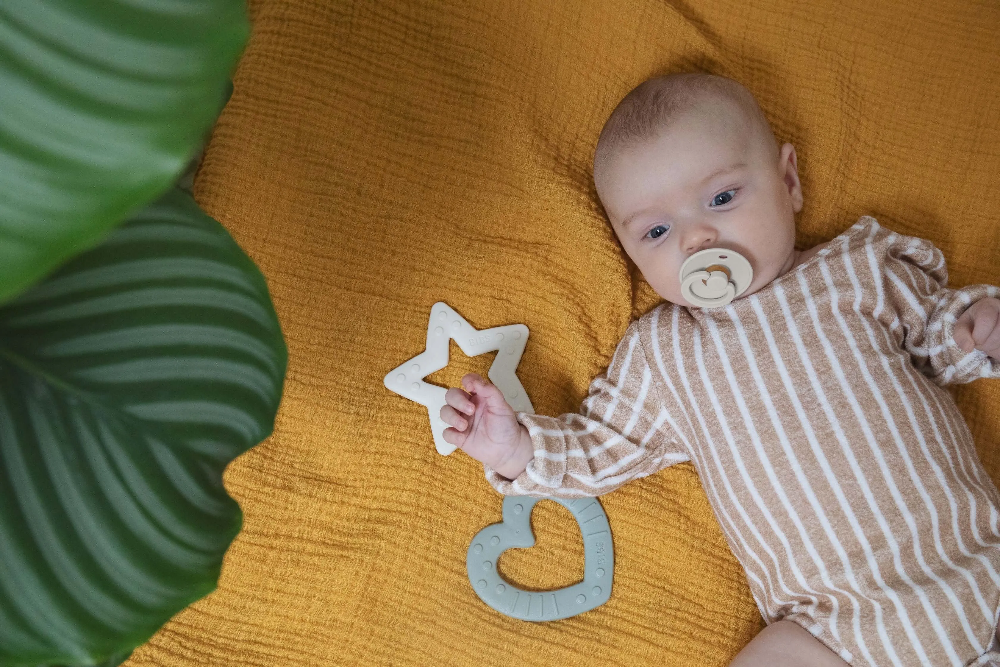 BIBS Pacifier Duo - Ivory