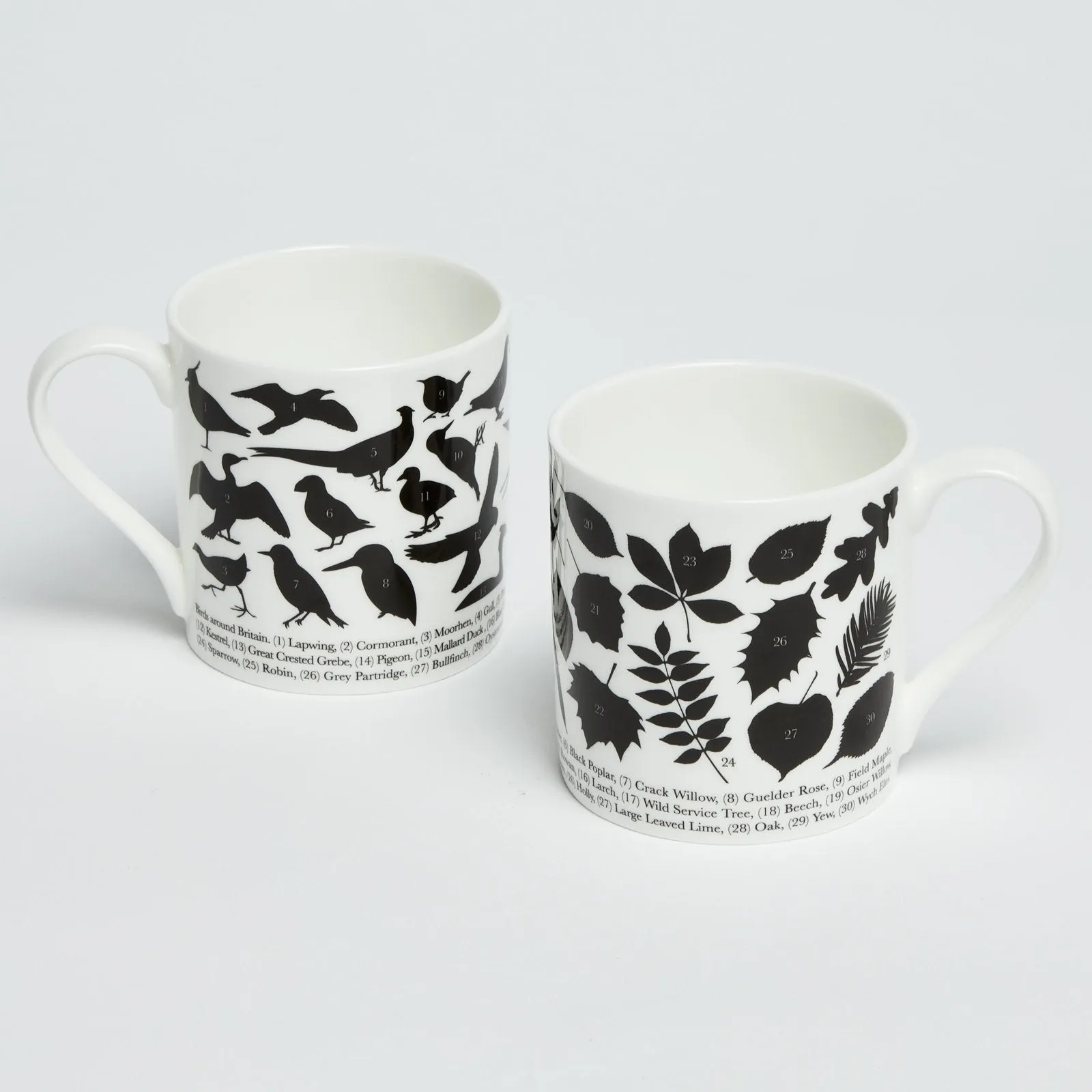 'Birds around Britain' Fine China Mug