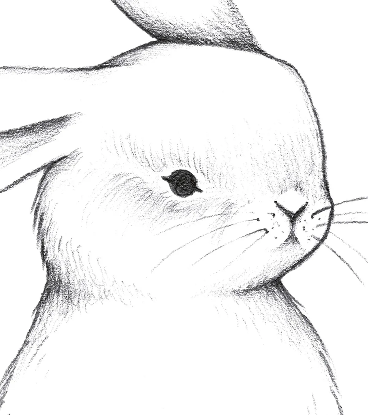Bunny | Hello Art Print