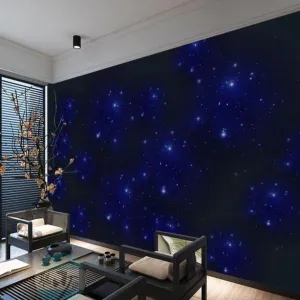 Custom Wallpaper Mural Star Universe Fashion Wallcovering (㎡)