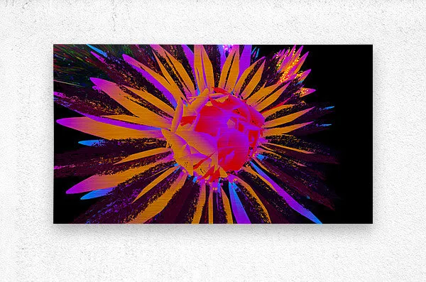Dazzling Dahlias