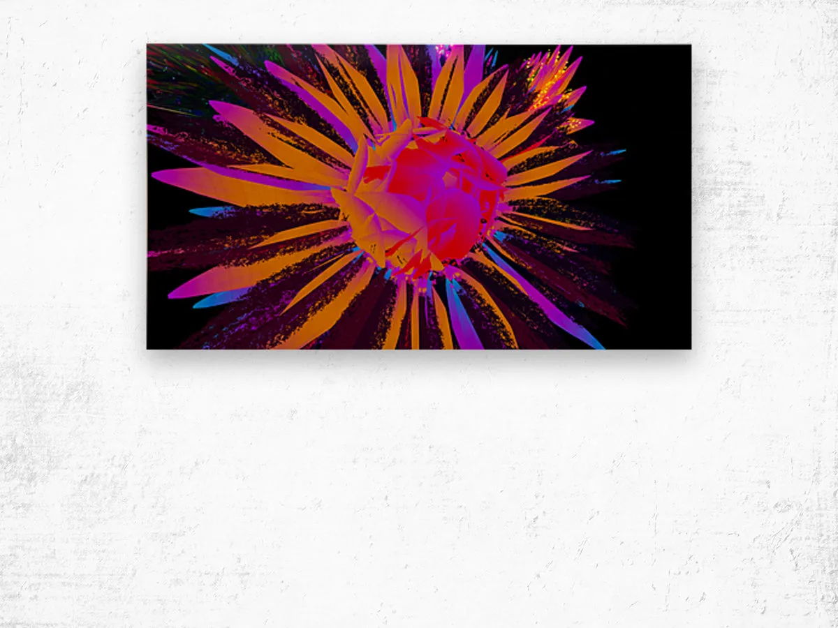 Dazzling Dahlias