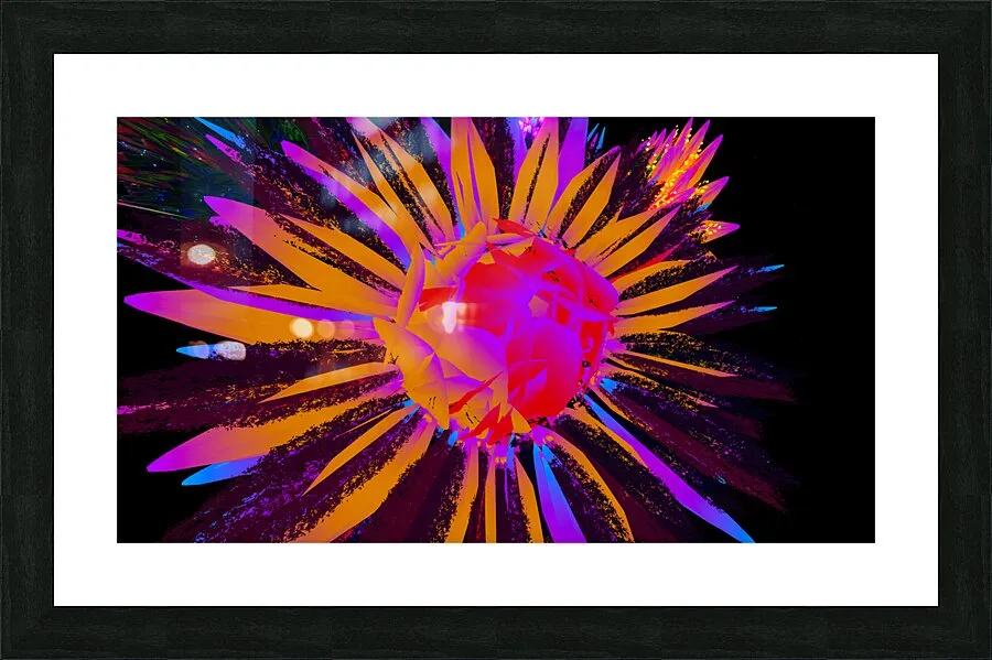 Dazzling Dahlias