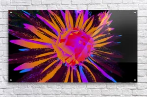 Dazzling Dahlias