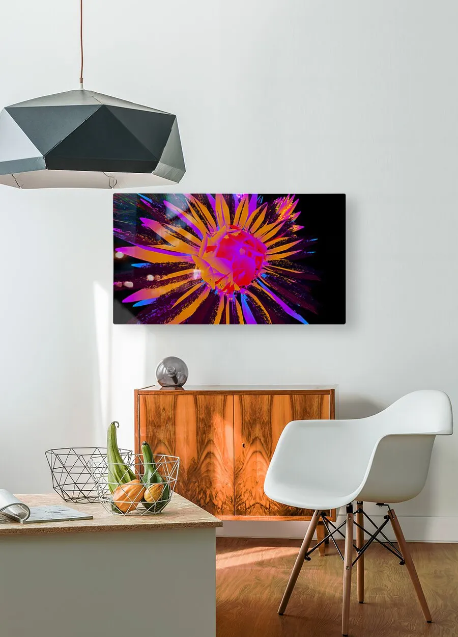 Dazzling Dahlias