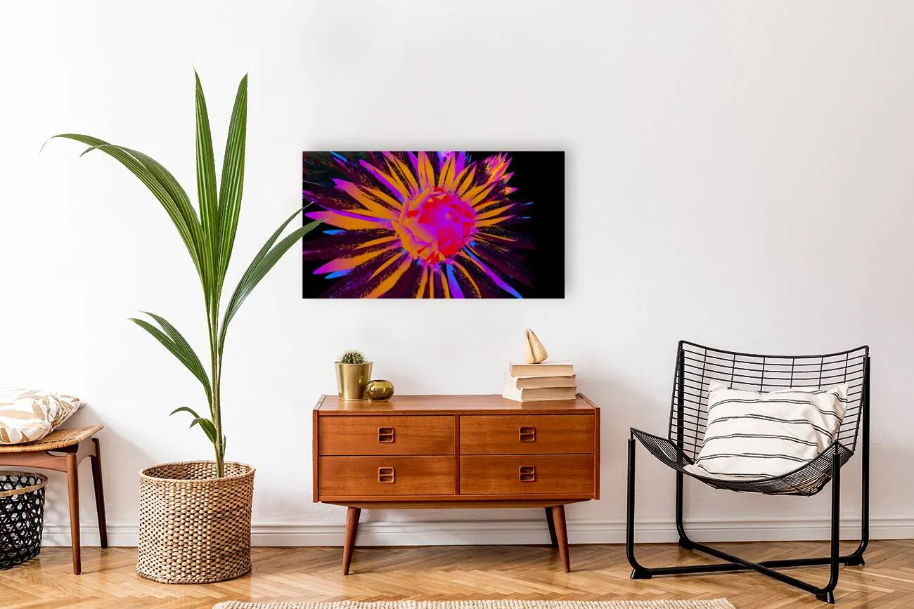 Dazzling Dahlias