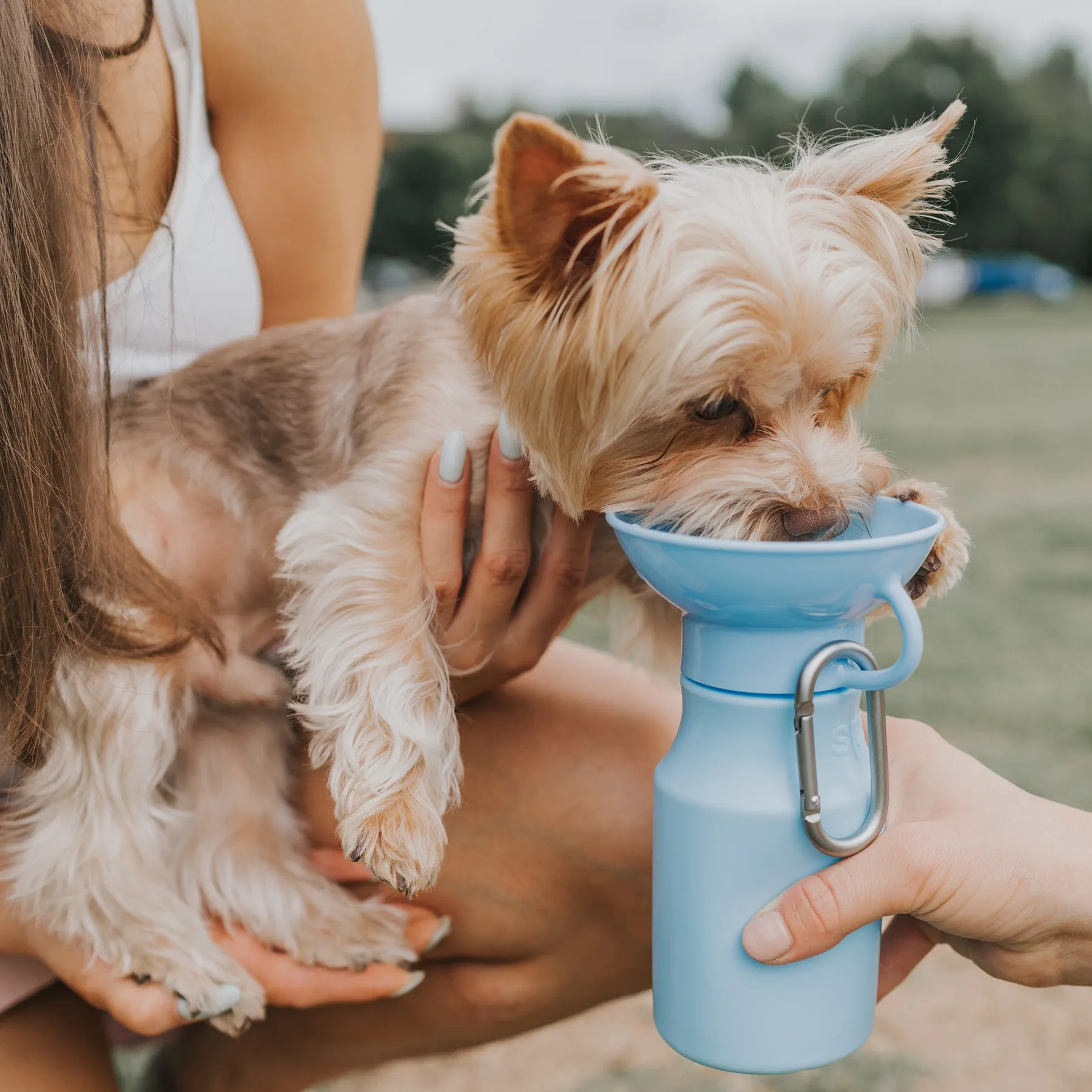 Dog Water Travel Bottle - 2 color options
