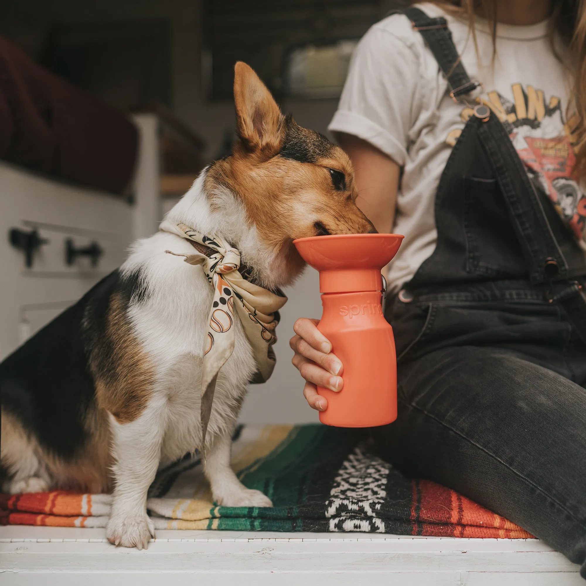Dog Water Travel Bottle - 2 color options
