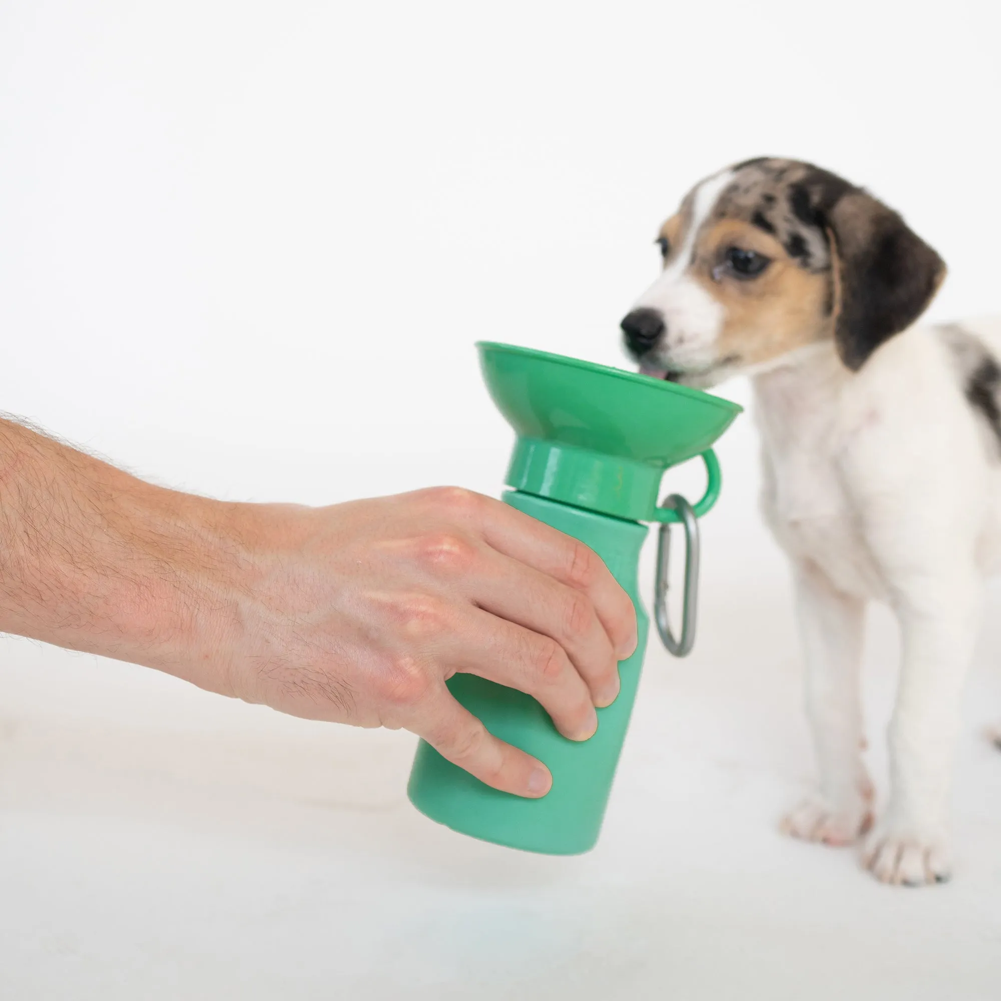Dog Water Travel Bottle - 2 color options