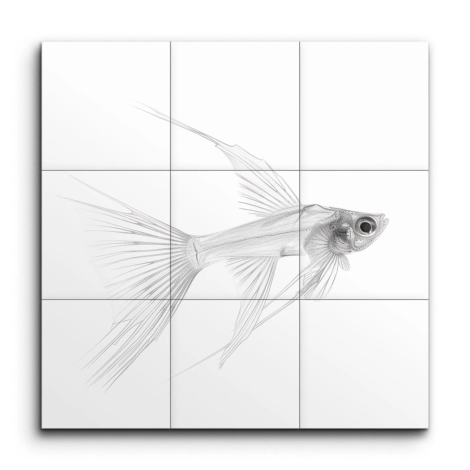 Ethereal Angelfish: Monochrome Serenity