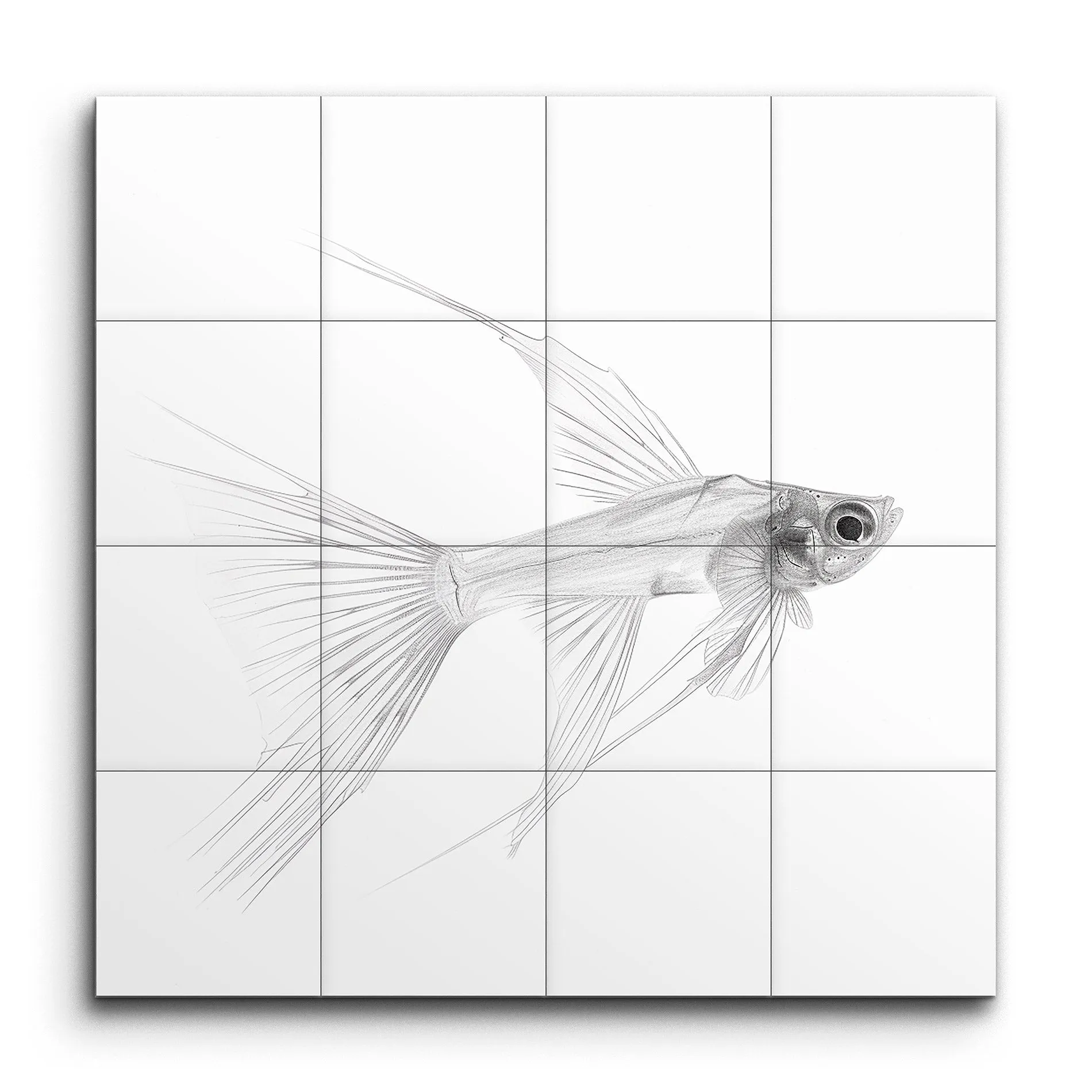 Ethereal Angelfish: Monochrome Serenity