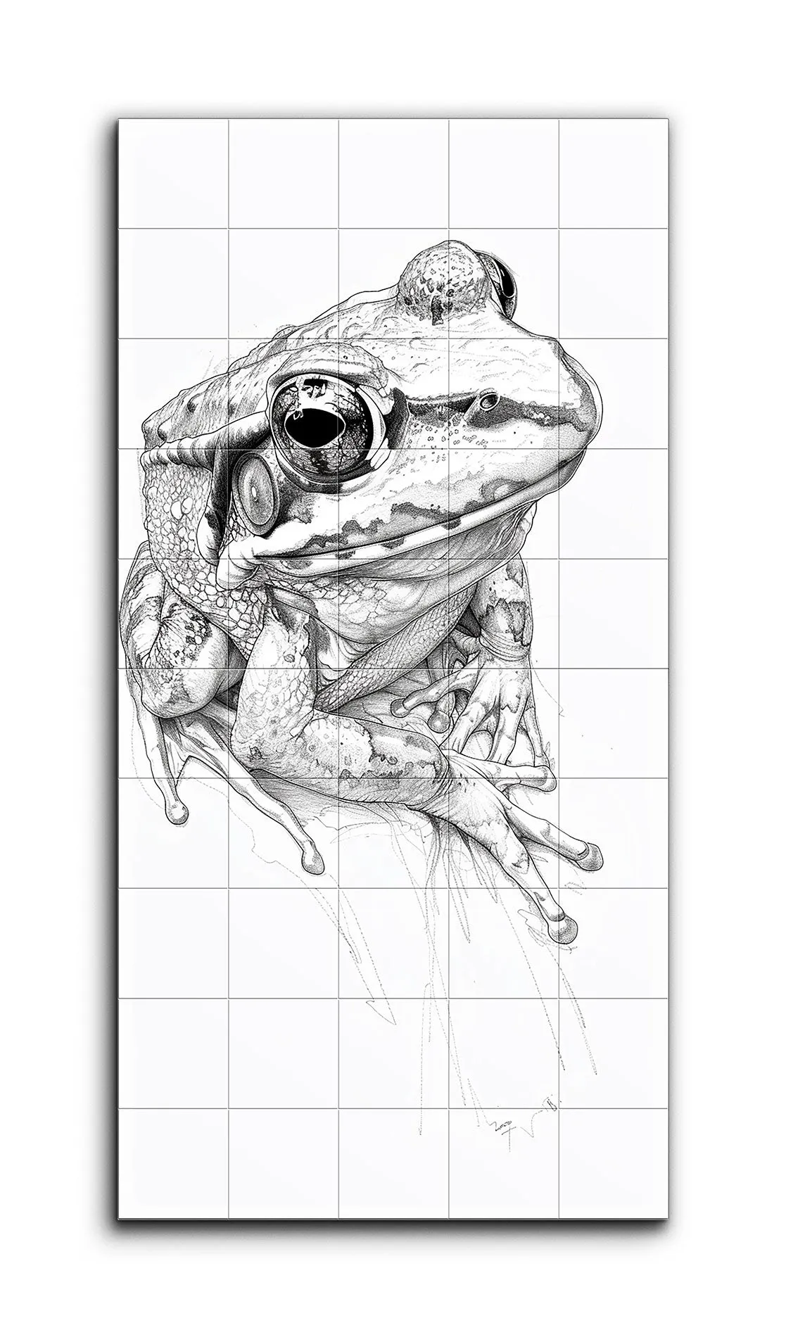 Intricate Monochrome Frog Illustration