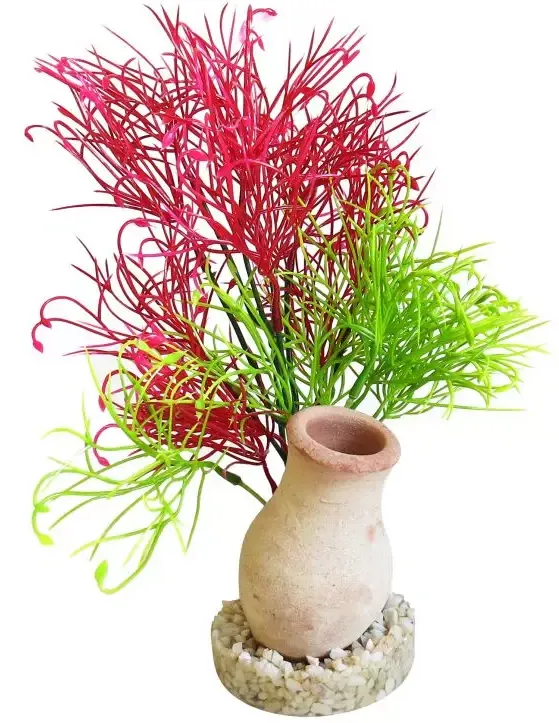 JAR EXOTIC GRASS