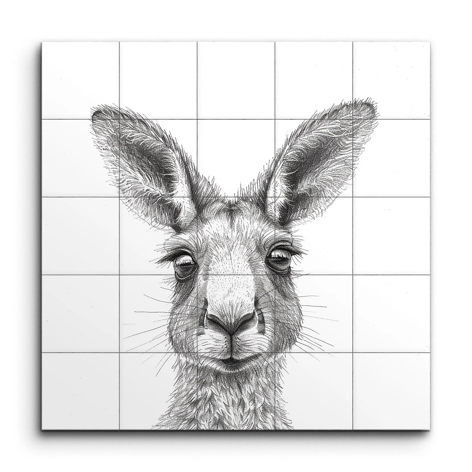 Kangaroo Essence: Monochrome Masterpiece
