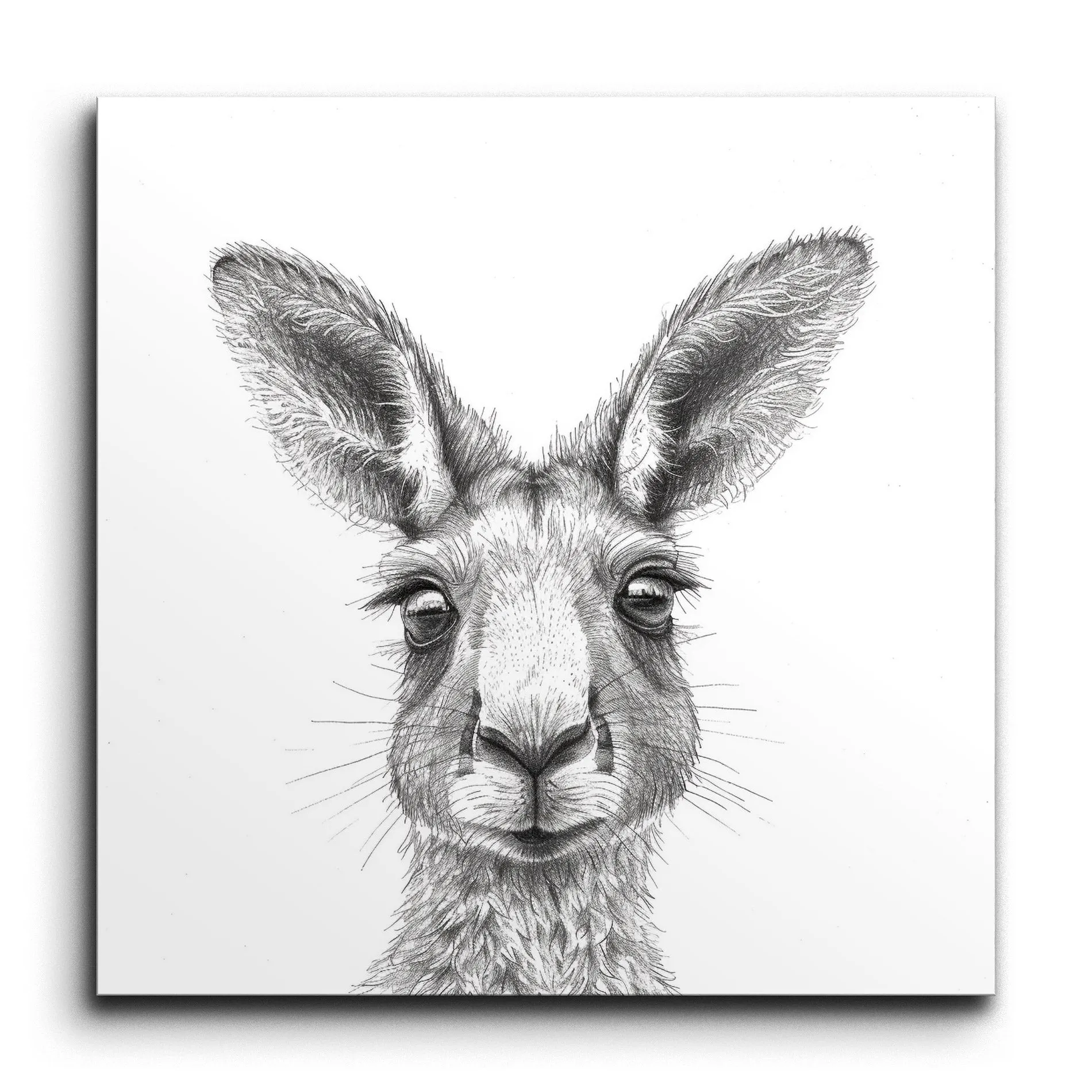 Kangaroo Essence: Monochrome Masterpiece