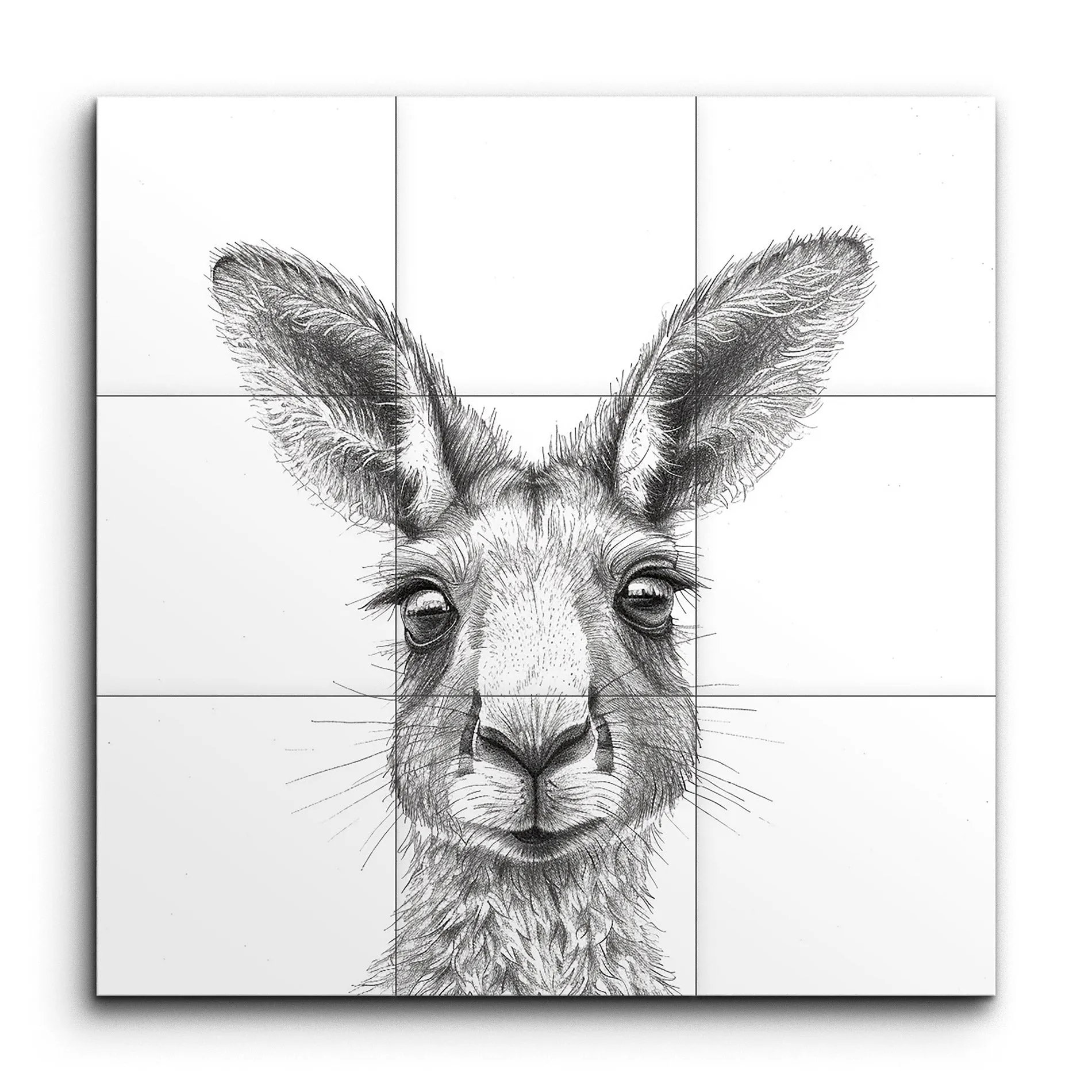 Kangaroo Essence: Monochrome Masterpiece