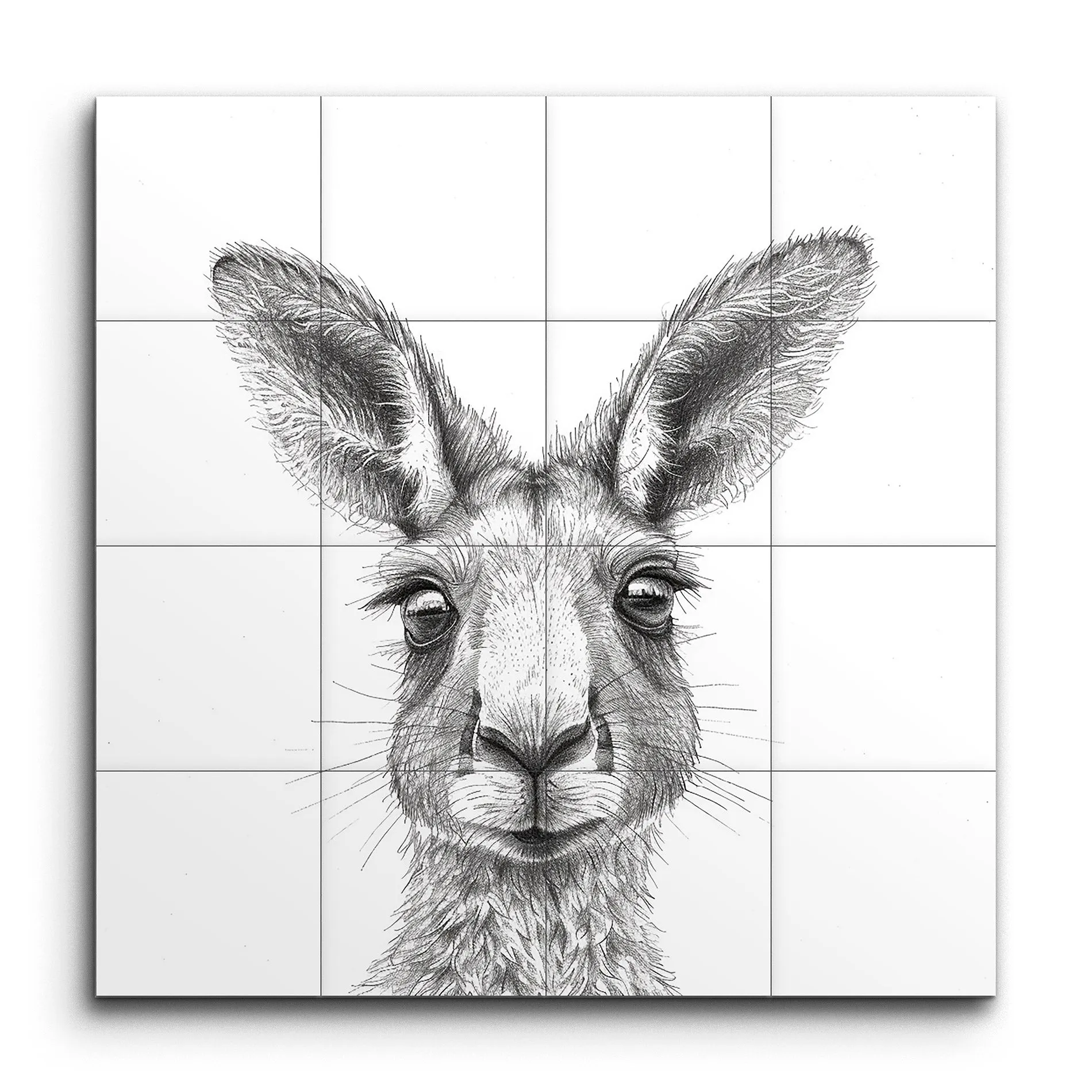 Kangaroo Essence: Monochrome Masterpiece