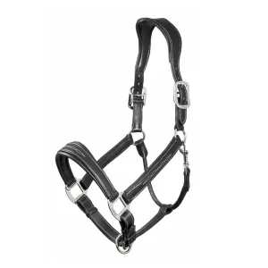 Lemieux Stitched Leather Headcollar