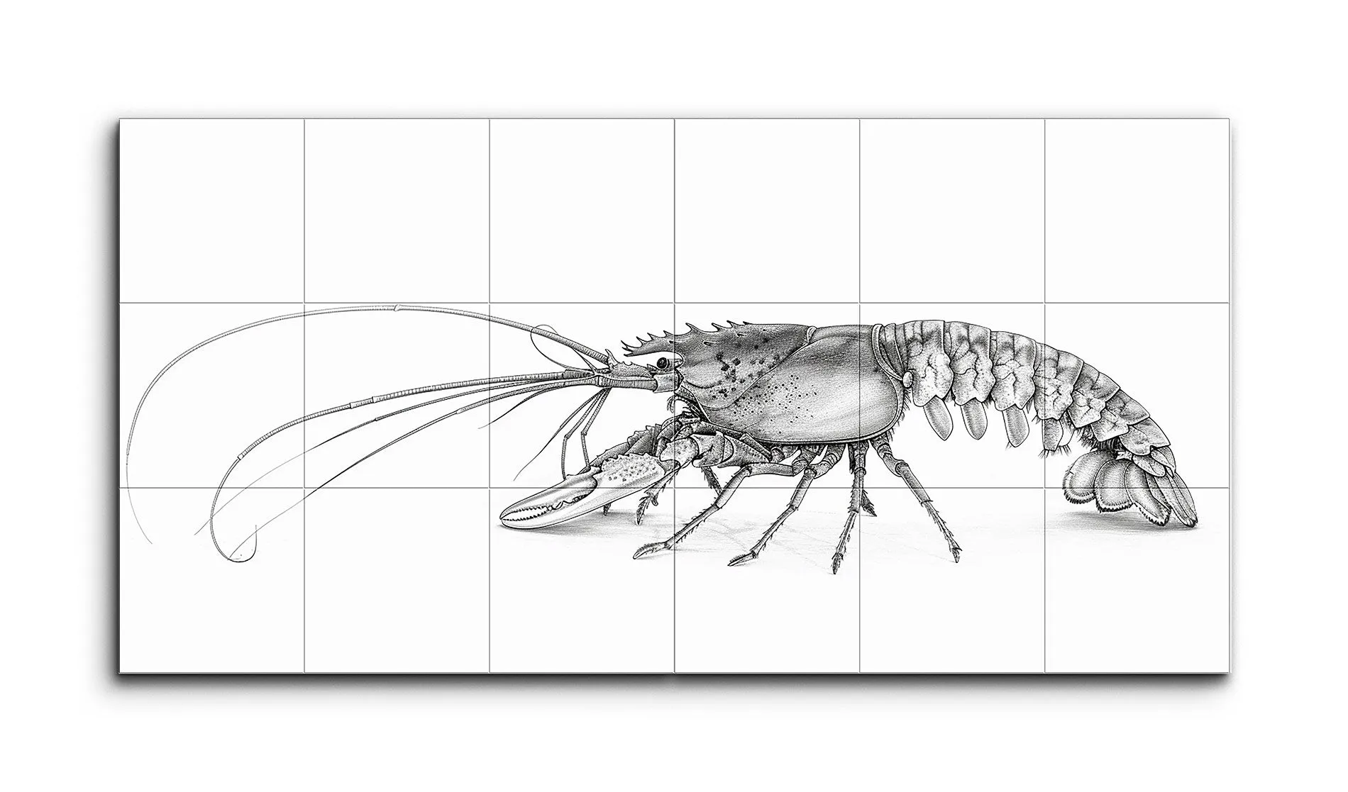 Lobster Anatomy: Monochrome Masterpiece