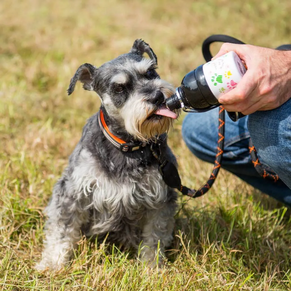 Long Paws Lick & Flow Pet Water Bottle