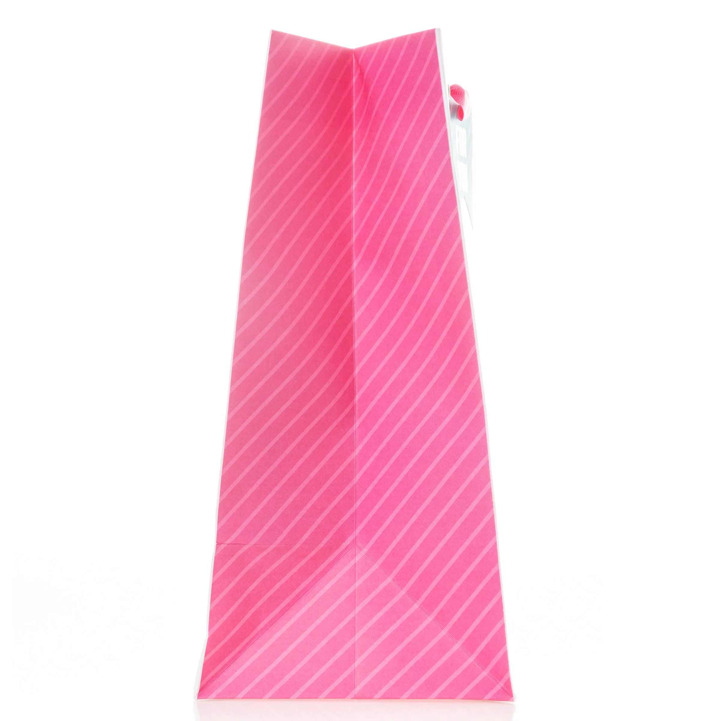 Make A Wish Flag Large Landscape Gift Bag