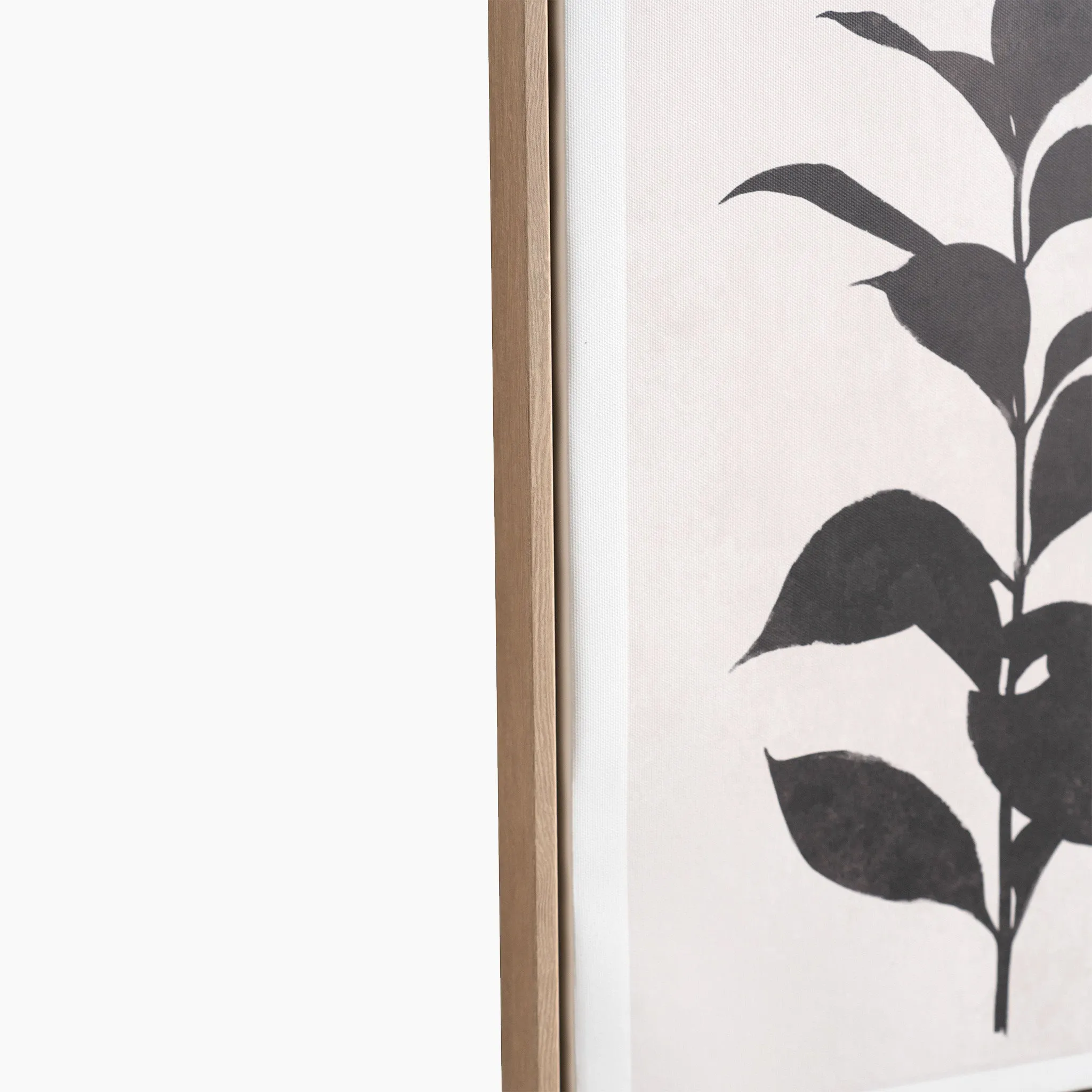 Natural and Black Leaf Print Canvases with Natural Frames