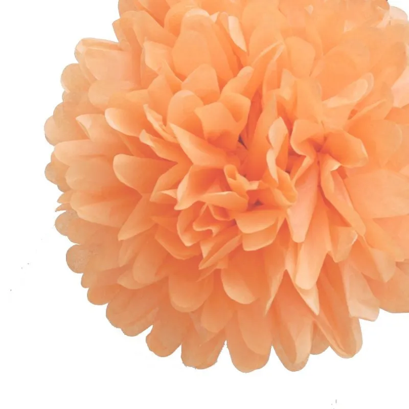 Peach Tissue Pom Pom (2 sizes)
