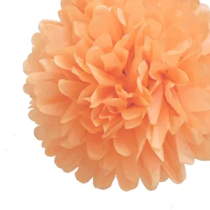 Peach Tissue Pom Pom (2 sizes)
