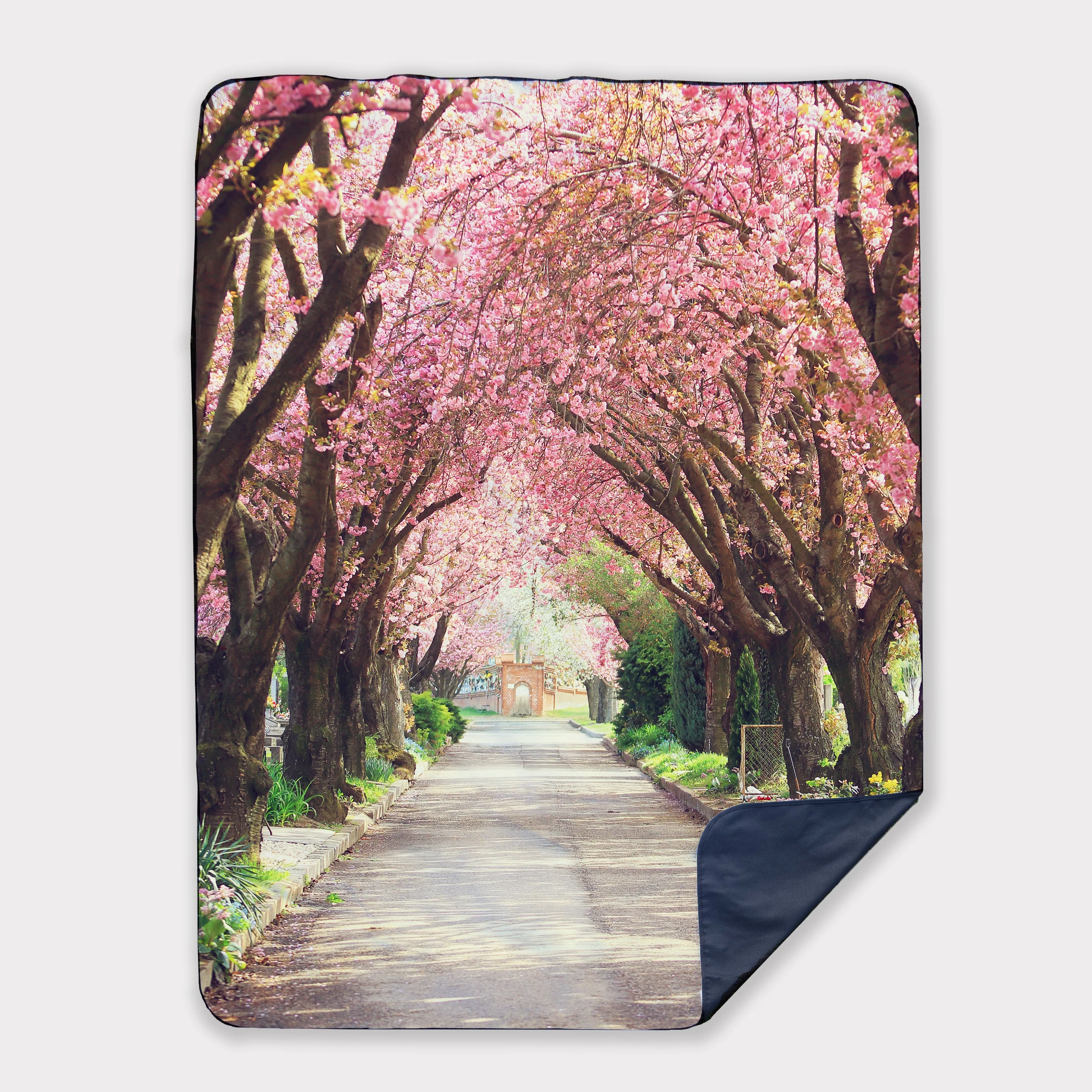 Picnic Blankets