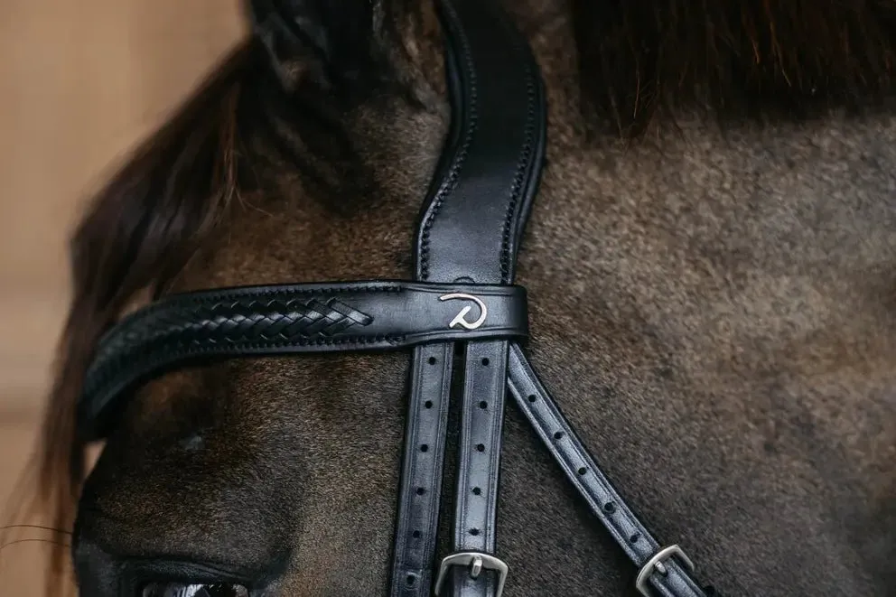 Plaited Flash Noseband Bridle with Pull back | Dyon | New English