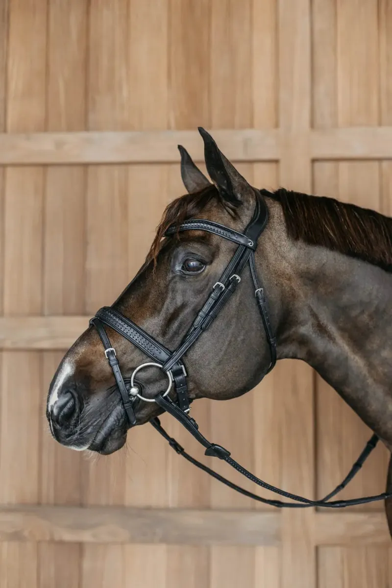 Plaited Flash Noseband Bridle with Pull back | Dyon | New English