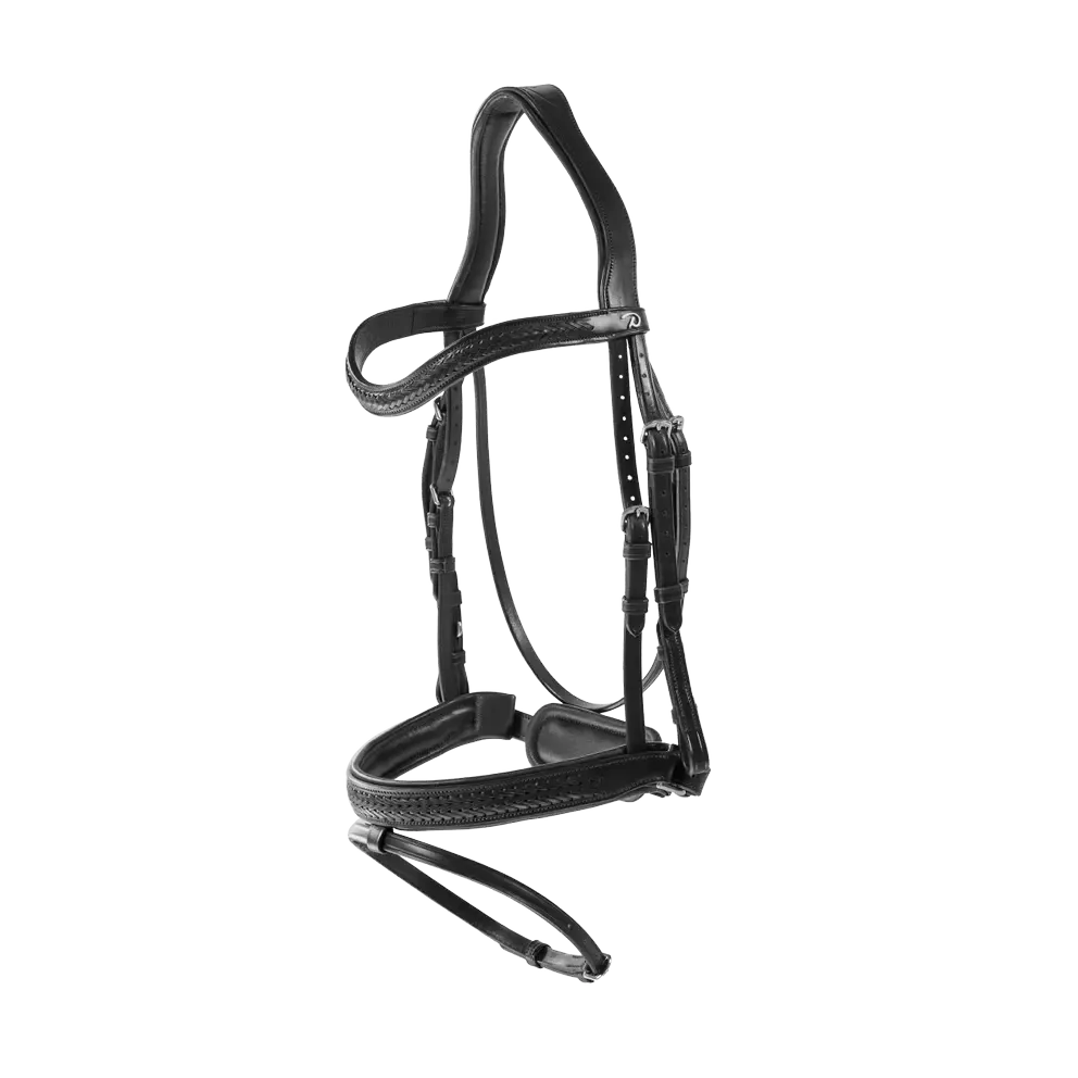 Plaited Flash Noseband Bridle with Pull back | Dyon | New English