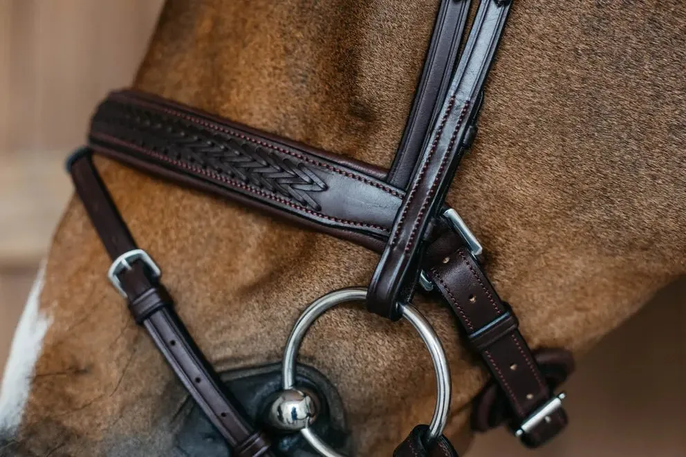 Plaited Flash Noseband Bridle with Pull back | Dyon | New English