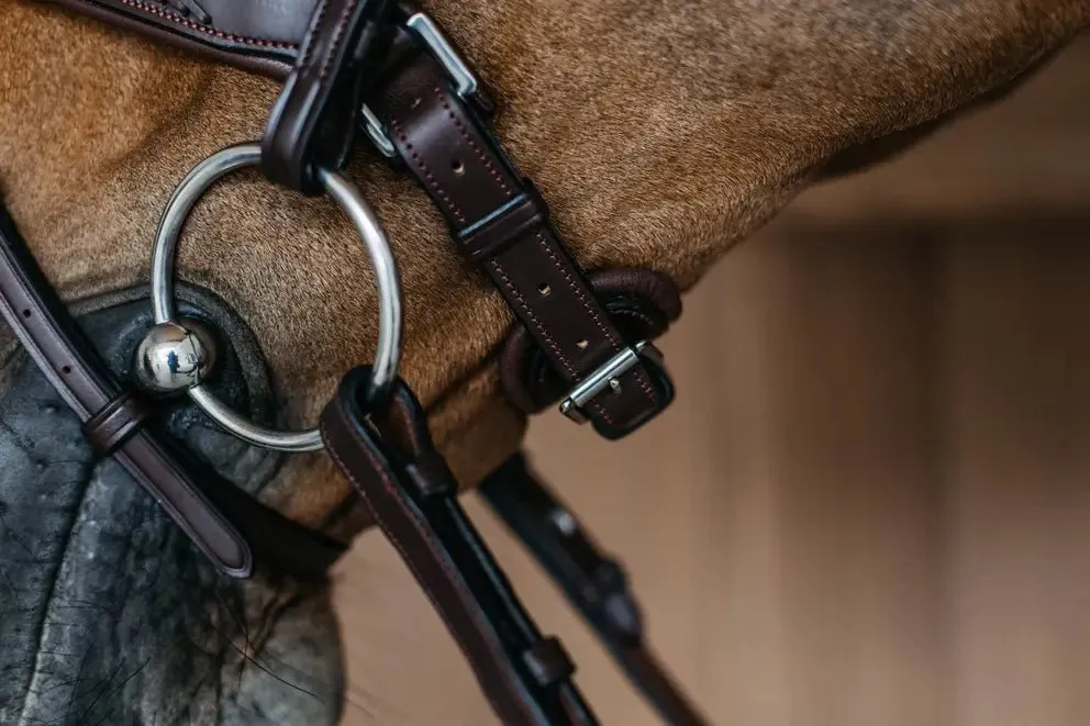 Plaited Flash Noseband Bridle with Pull back | Dyon | New English