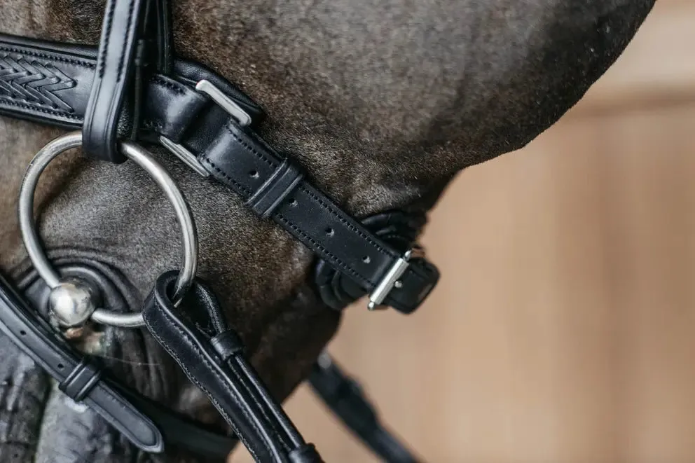 Plaited Flash Noseband Bridle with Pull back | Dyon | New English