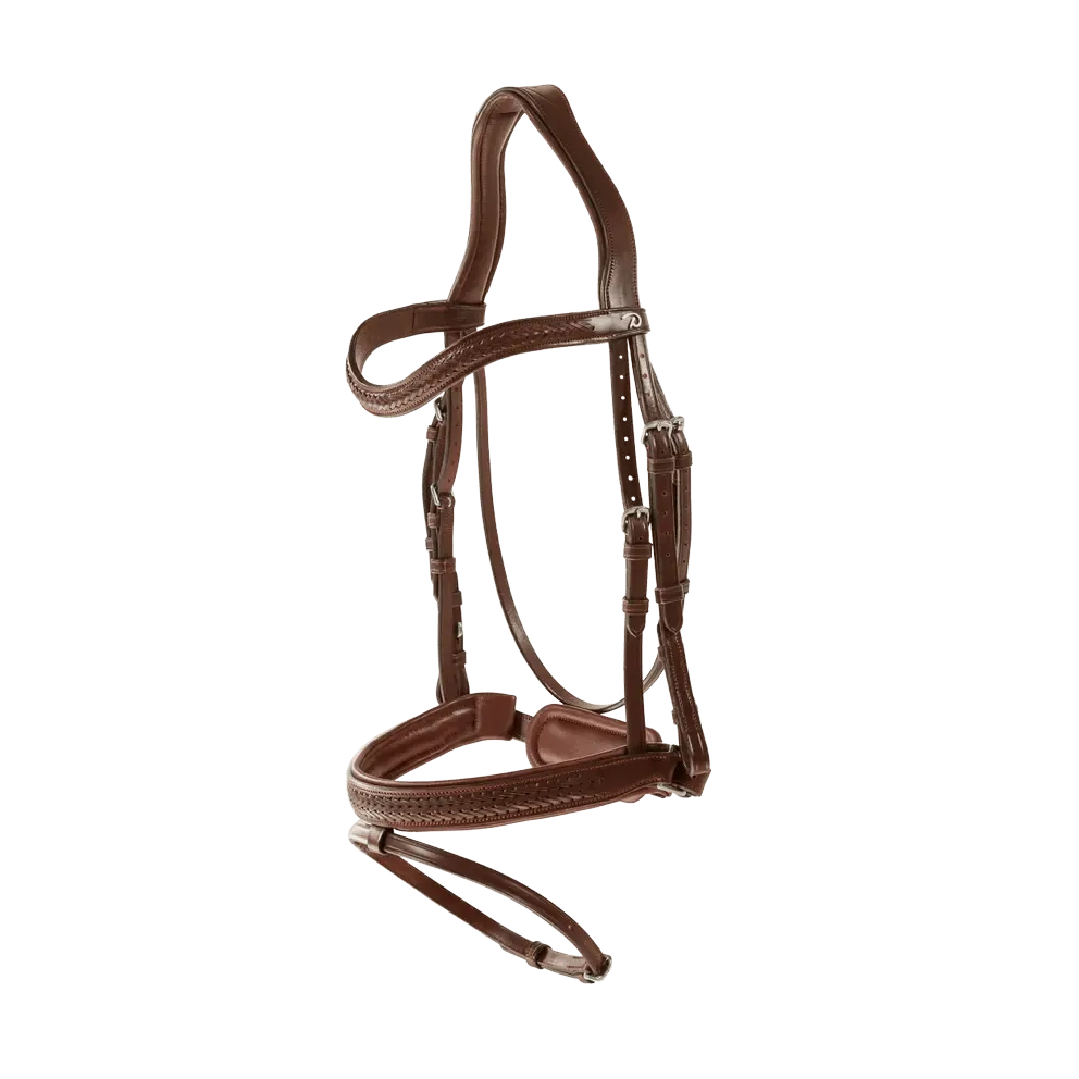 Plaited Flash Noseband Bridle with Pull back | Dyon | New English