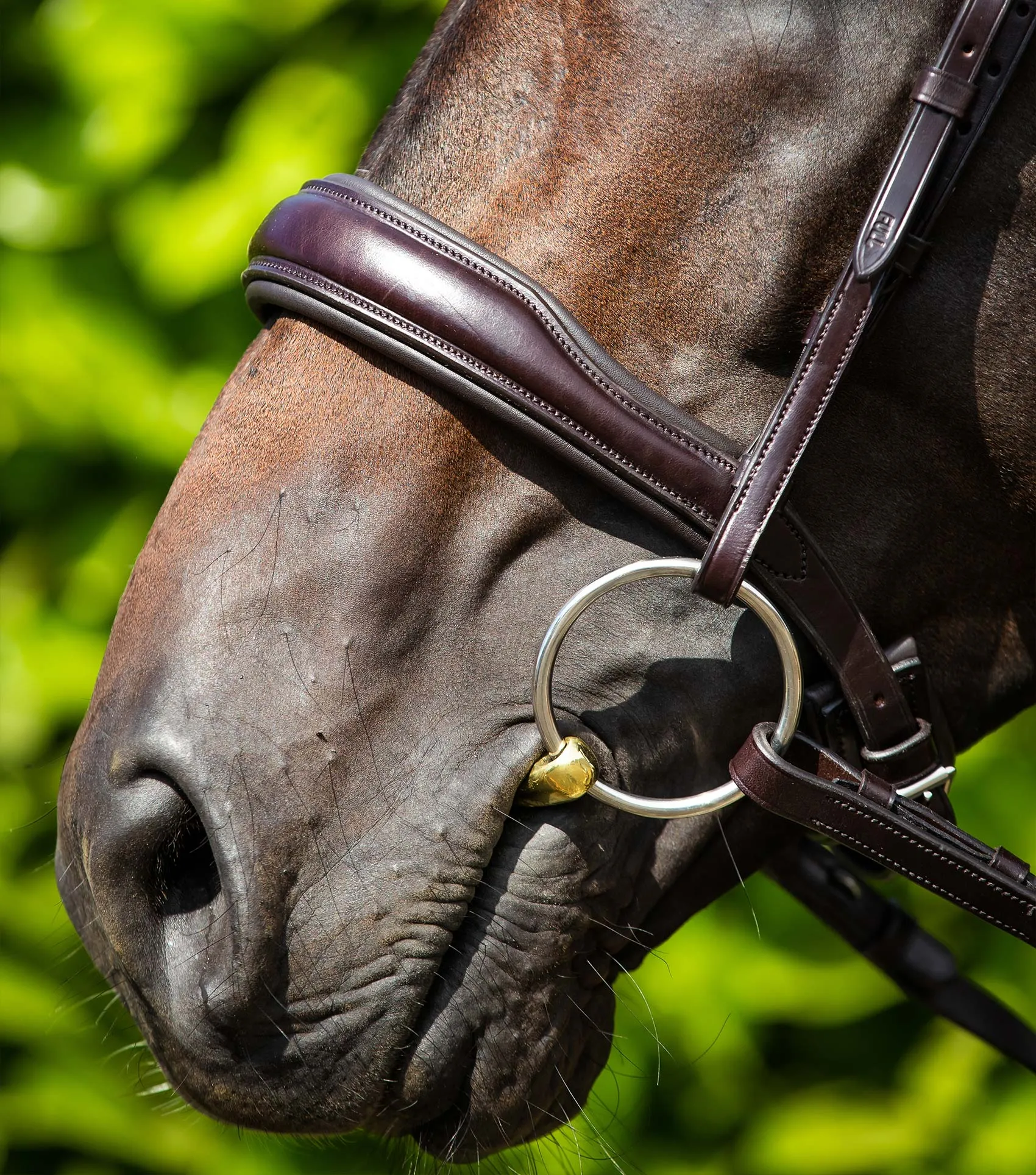 Premier Equine Verdura Anatomic Cavesson Noseband