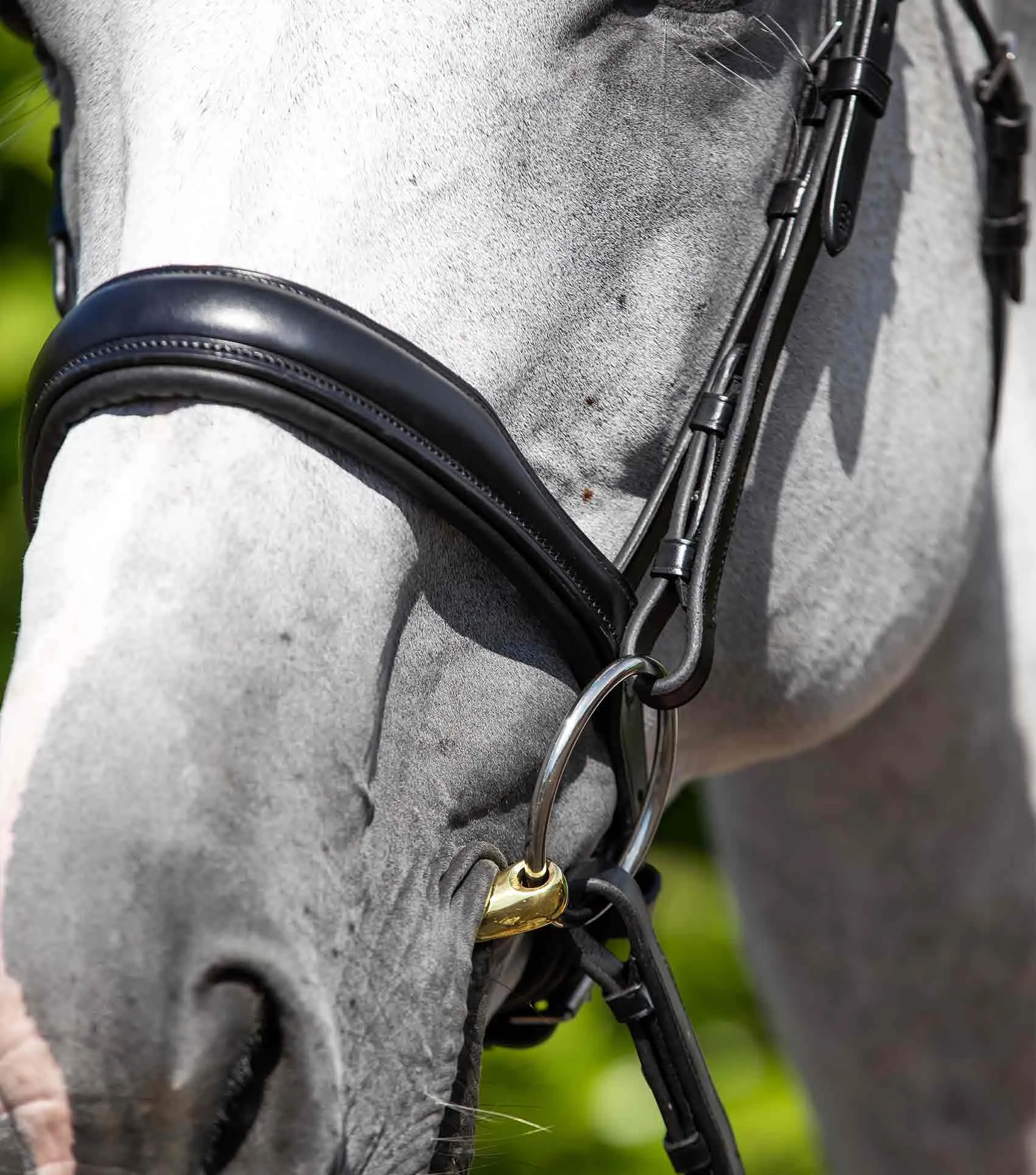 Premier Equine Verdura Anatomic Cavesson Noseband